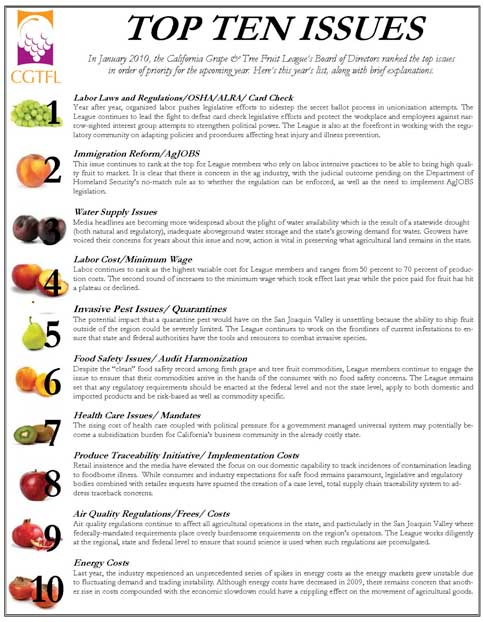 2010 Top Issues